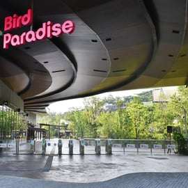 Ingresso de entrada para o Bird Paradise com traslado do hotel