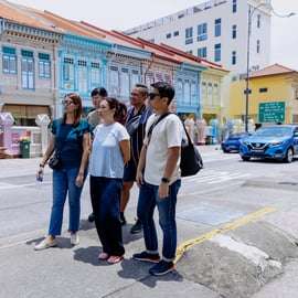 Singapura: Tour pela cultura Peranakan