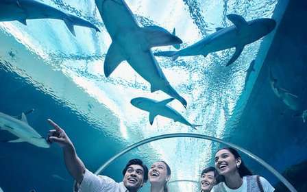 Cingapura: S.E.A. Aquarium Entrance E-Ticket