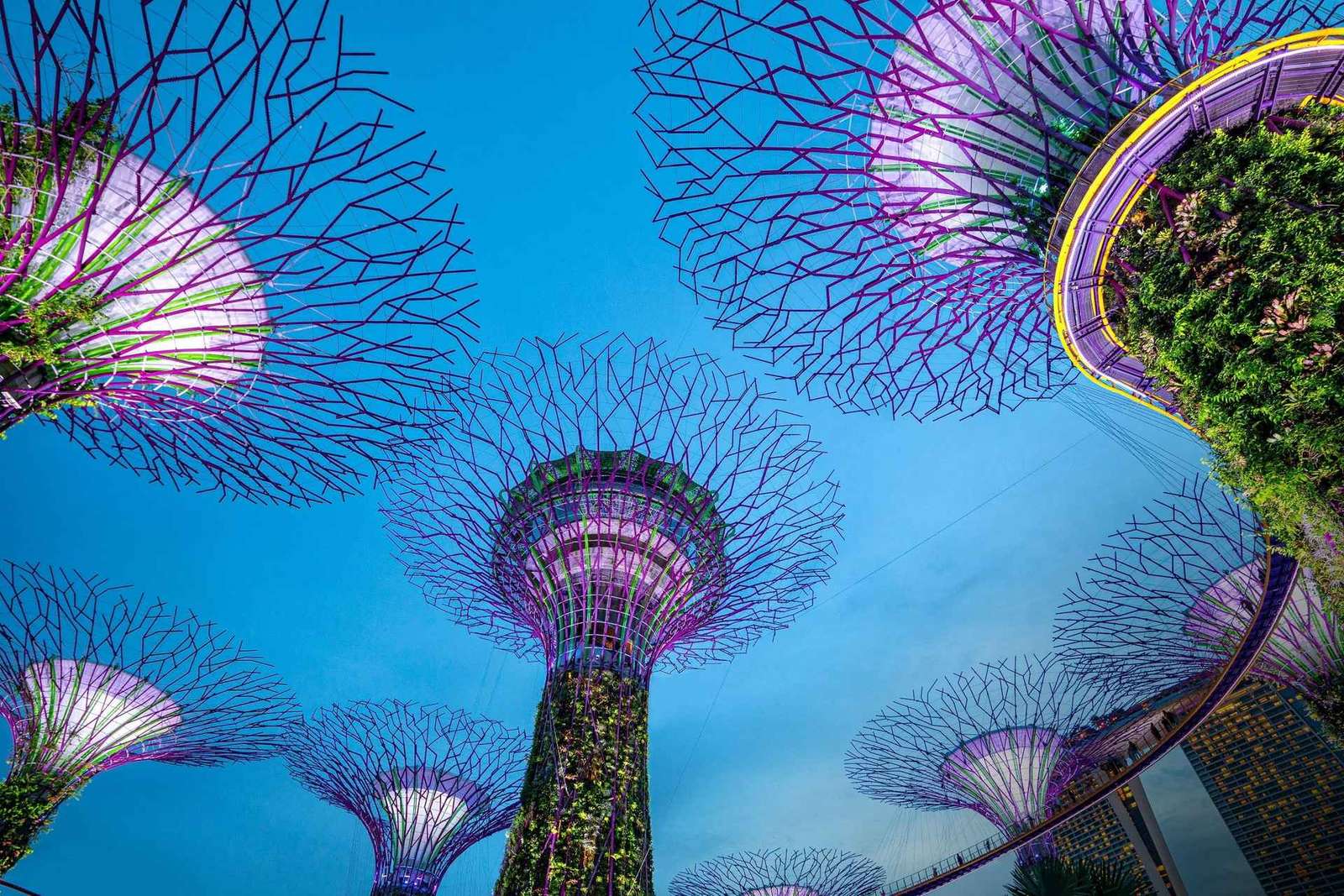 Passeio noturno pela Marina Bay de Singapura com o espetáculo Spectra & Rhapsody