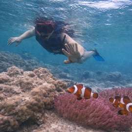 De Singapura : Snorkeling privado na ilha de Batam e canoa