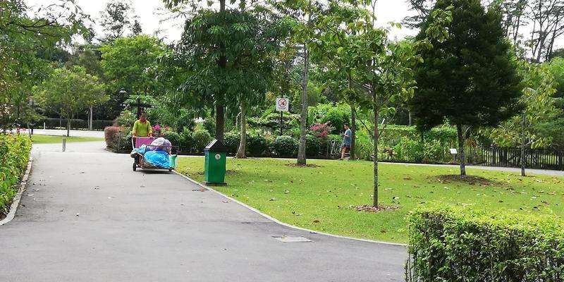 Choa Chu Kang Park