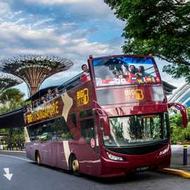 Singapura: Tour de ônibus hop-on hop-off em Singapura
