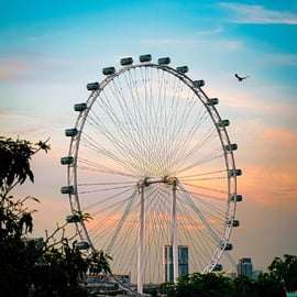 Cingapura: Bilhete de entrada para o Singapore Flyer e a Cápsula do Tempo