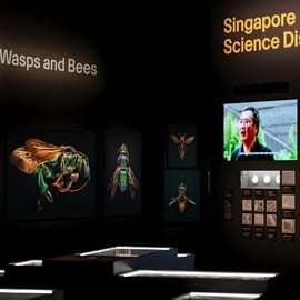 Singapura: Ingresso para o Museu ArtScience