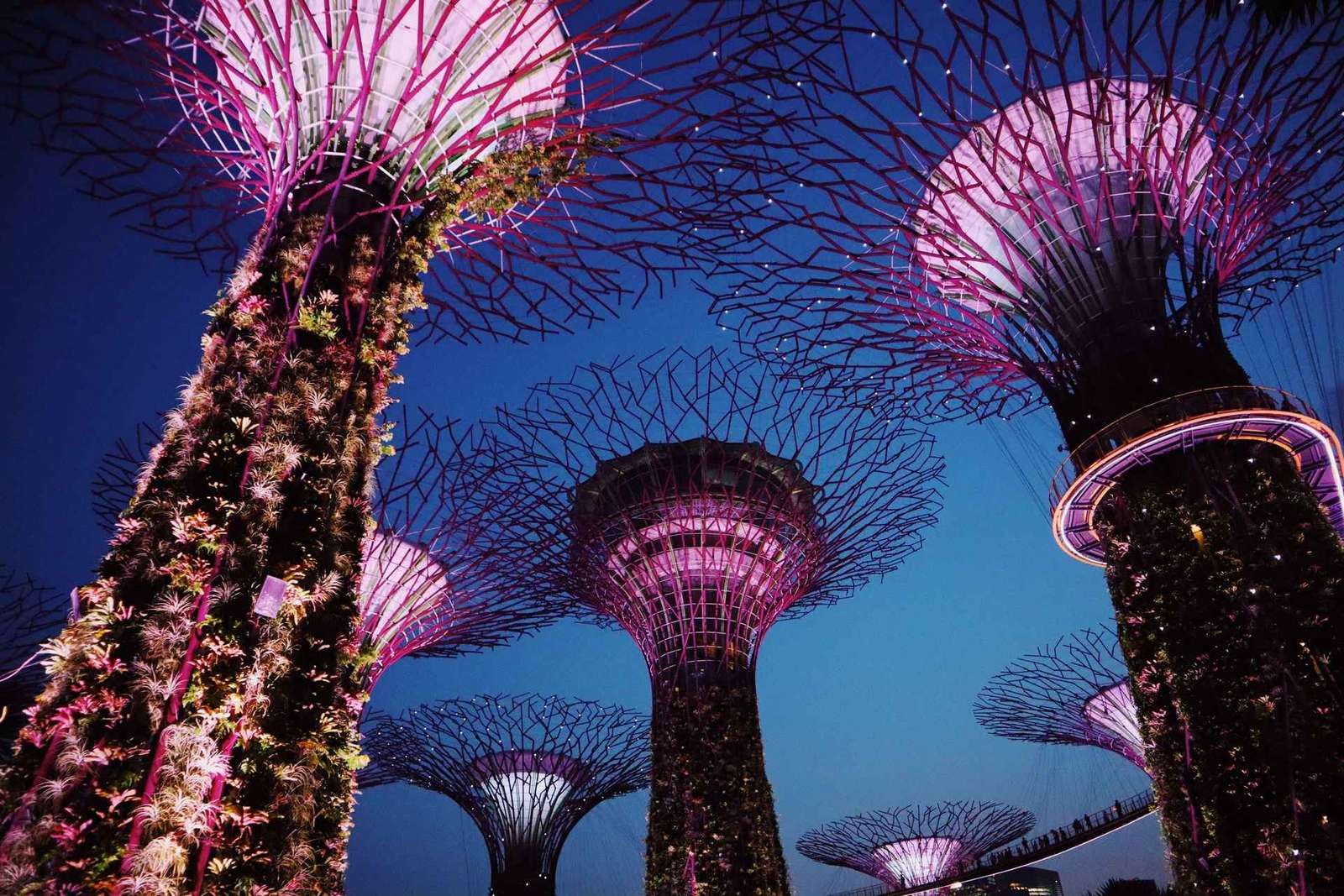 Visita a Singapura: Tour particular com um guia local