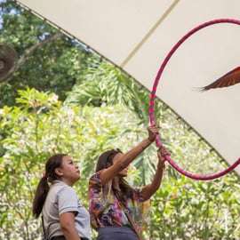 Singapura: ingresso de entrada para o Bird Paradise