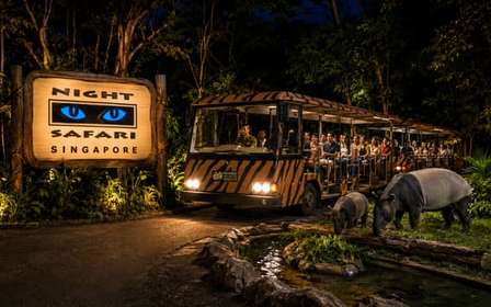 Singapura: Night Safari com Passeio de Bonde e Traslados de Hotel