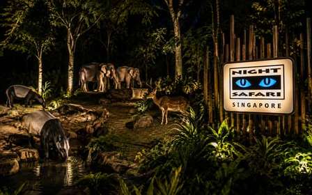 Singapura: Night Safari com Passeio de Bonde e Busca no Hotel