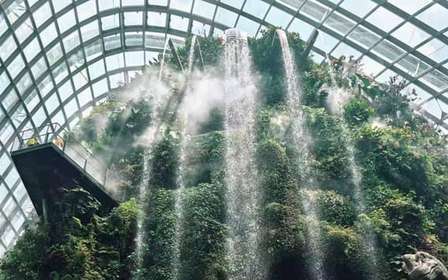 Singapura: Ingresso para Cúpula das Flores + Floresta das Nuvens