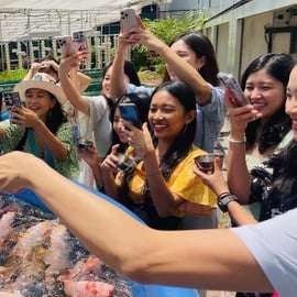 Singapura: Excursão Guiada de Bicicleta por Fazendas e Jardins Urbanos