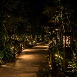 Singapura: Night Safari com Passeio de Bonde e Traslados de Hotel