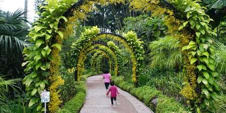Jardins Botânicos de Cingapura