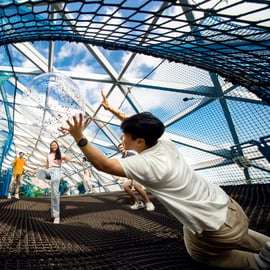 Singapura: Ingresso de Entrada para o Canopy Park do Aeroporto Jewel Changi