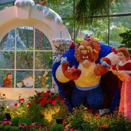 Singapura: combo de bilhetes de entrada para os Gardens by the Bay