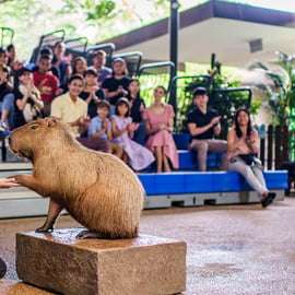 Singapura: ingresso de entrada para o River Wonders