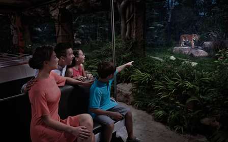 Singapura: Ingresso de entrada no Night Safari com passeio de bonde