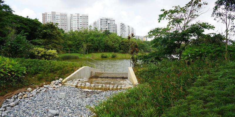 Punggol Park