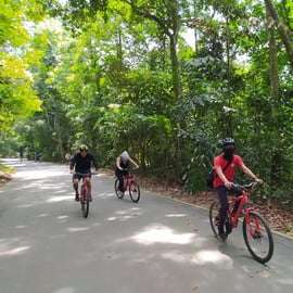 Singapura: Excursão de Bicicleta em Pulau Ubin com Passeio de Barco e Comida