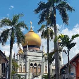 Singapura: Excursão por 12 Marcos com Tempo Livre e Transfer