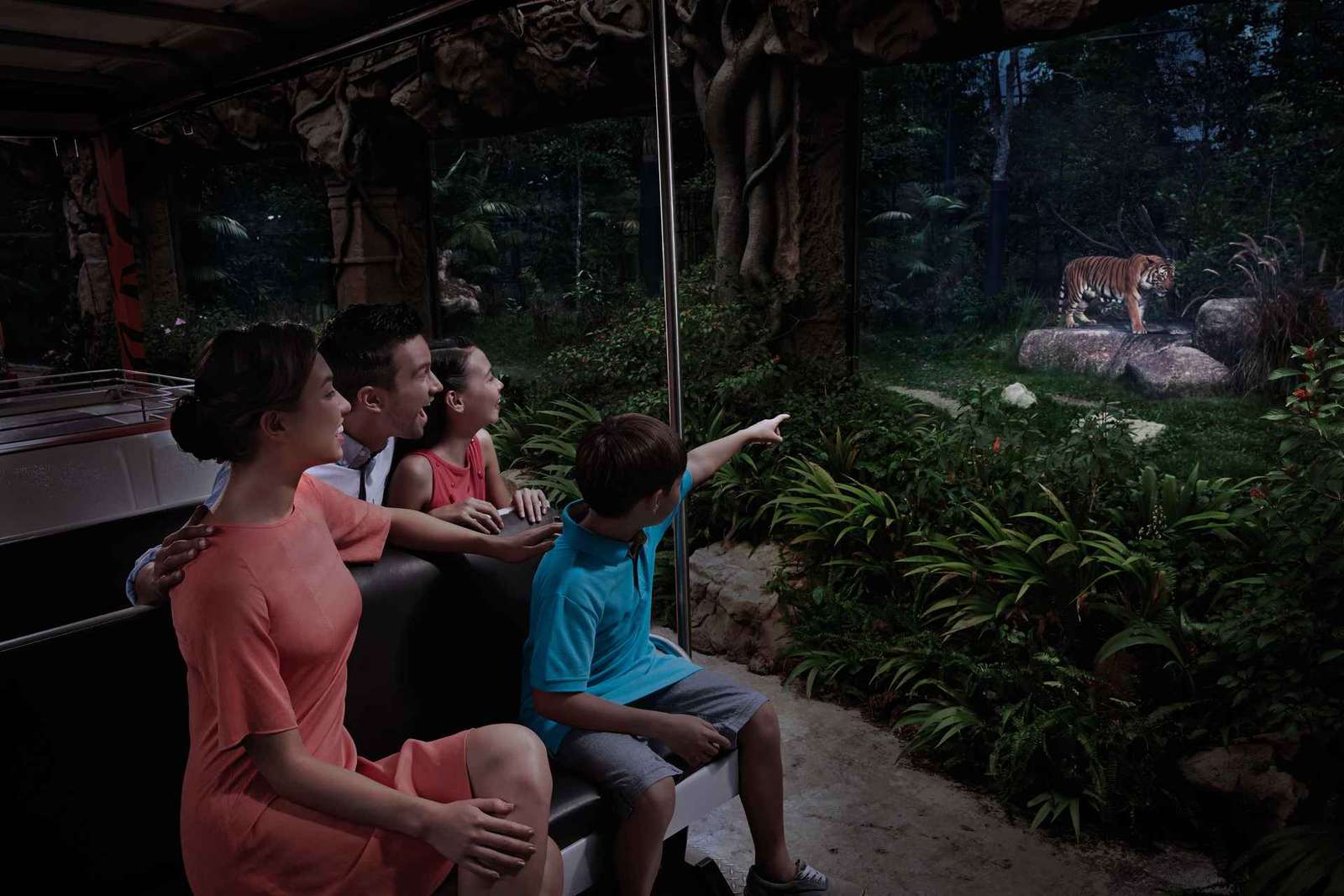 Singapura: Ingresso de entrada no Night Safari com passeio de bonde