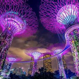 Singapura: Passeio turístico noturno pela cidade com cruzeiro guiado pelo rio