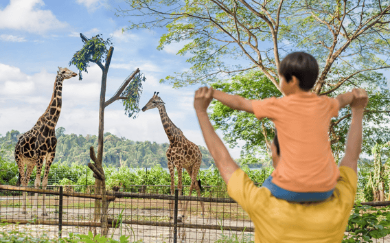 Zoológico de Singapura: ingresso digital de 1 dia com passeio de bonde