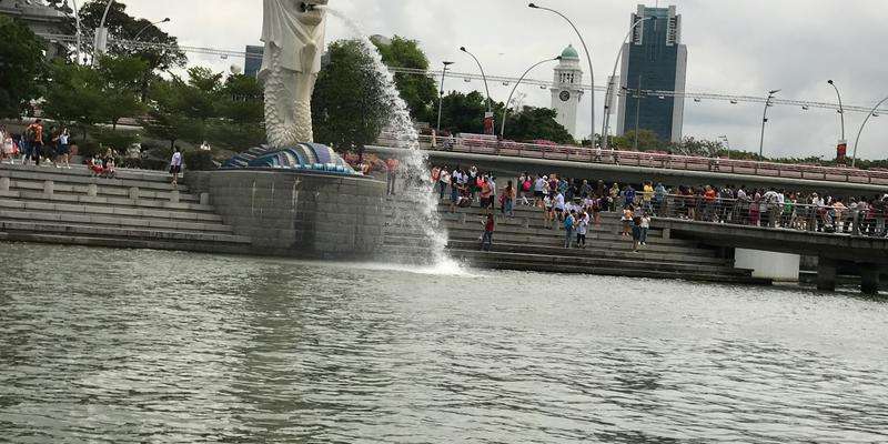 Singapore Ducktours