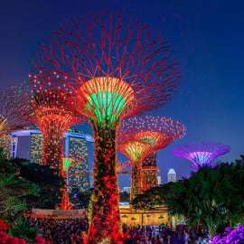 Noite estrelada de Singapura: Cruise, Garden Rhapsody e Spectra