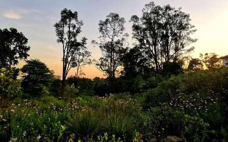 Excursão a pé pelo Jardim Botânico e Tiong Bahru com café da manhã