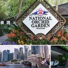 Passeio guiado de meio dia com visita ao Jardim Nacional de Orquídeas