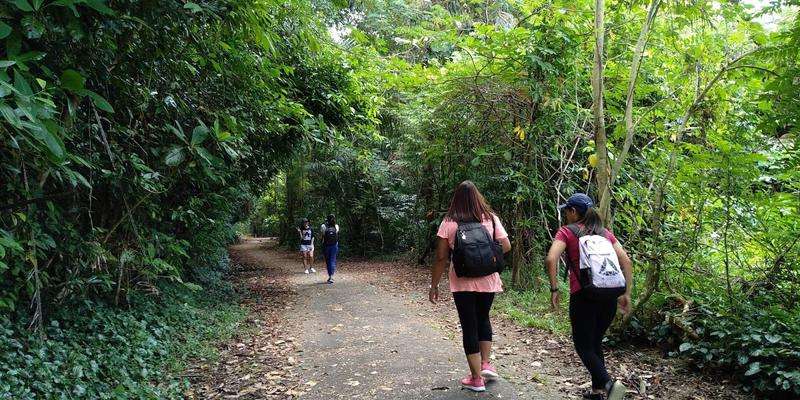 Parque Natural da Fazenda Laticínios