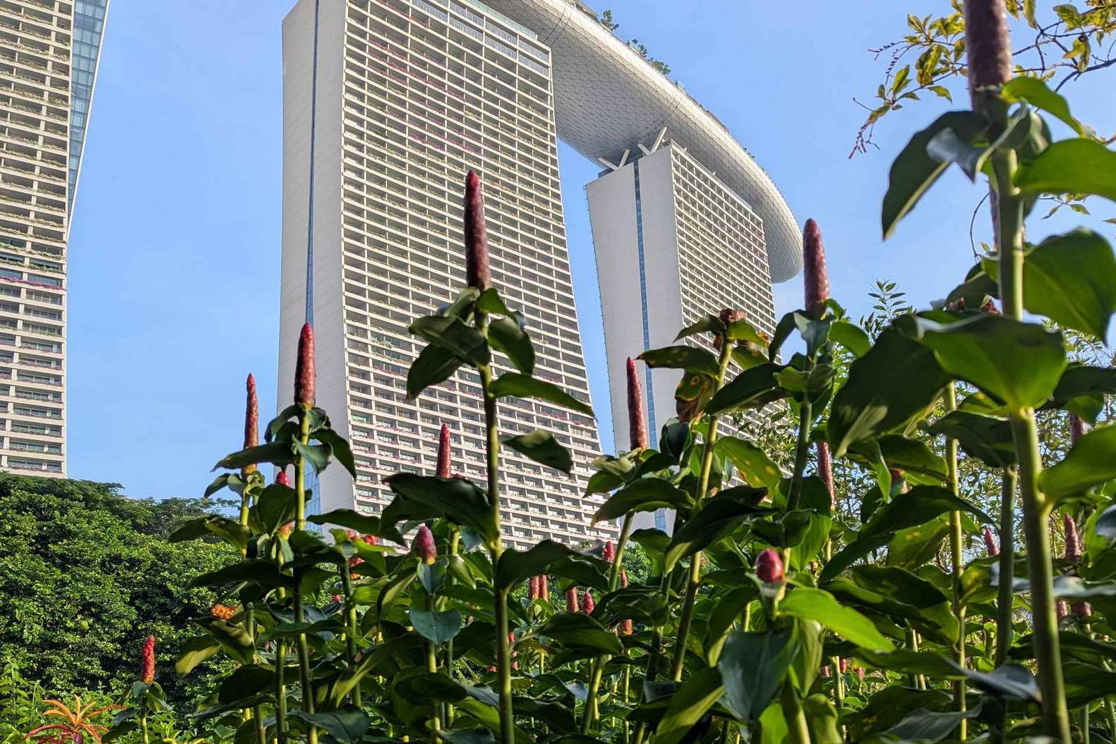 Jardins da Baía de Singapura: Caminhada pelas Superárvores e pela Floresta das Nuvens