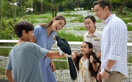 Singapura: ingresso de entrada para o Bird Paradise