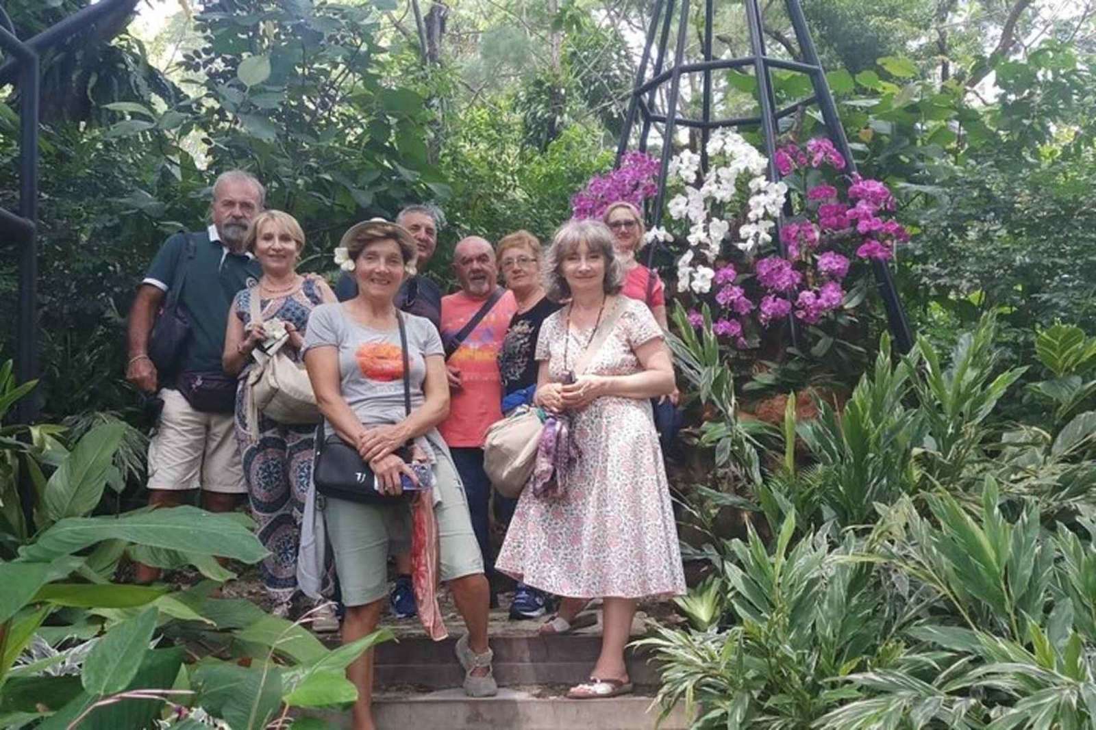 Cingapura: o melhor tour gastronômico de rua com um guia local