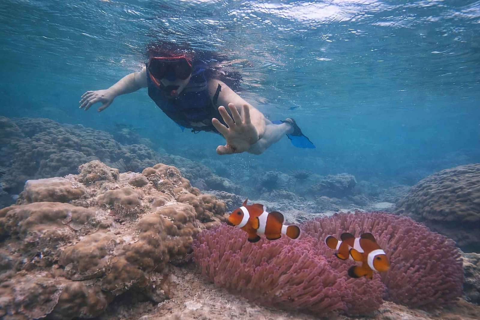 De Singapura : Snorkeling privado na ilha de Batam e canoa