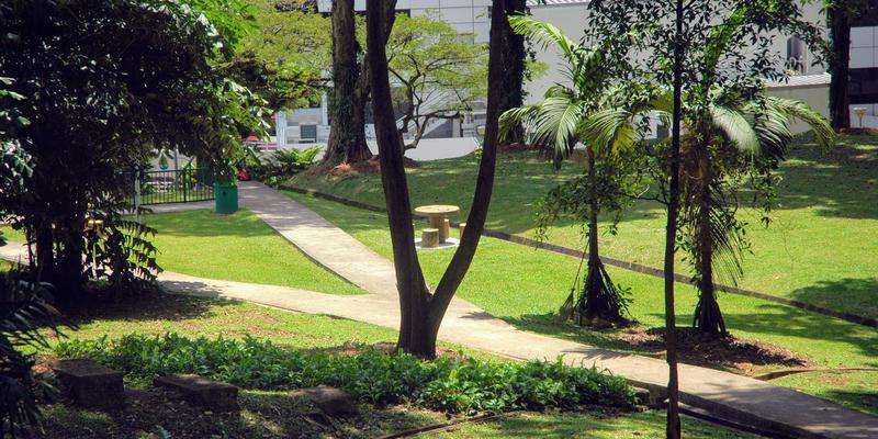 Parque de Pearl's Hill City