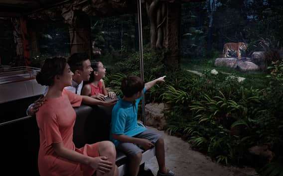Singapura: Ingresso de entrada no Night Safari com passeio de bonde