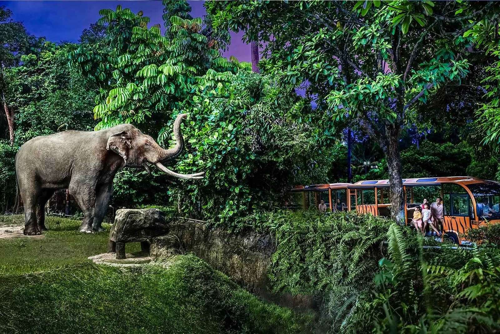 Ingresso de entrada para o Night Safari com passeio de bonde e transfers compartilhados