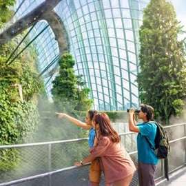 Jardins da Baía: Ingressos de Entrada para 2 Cúpulas e Transfer Compartilhado