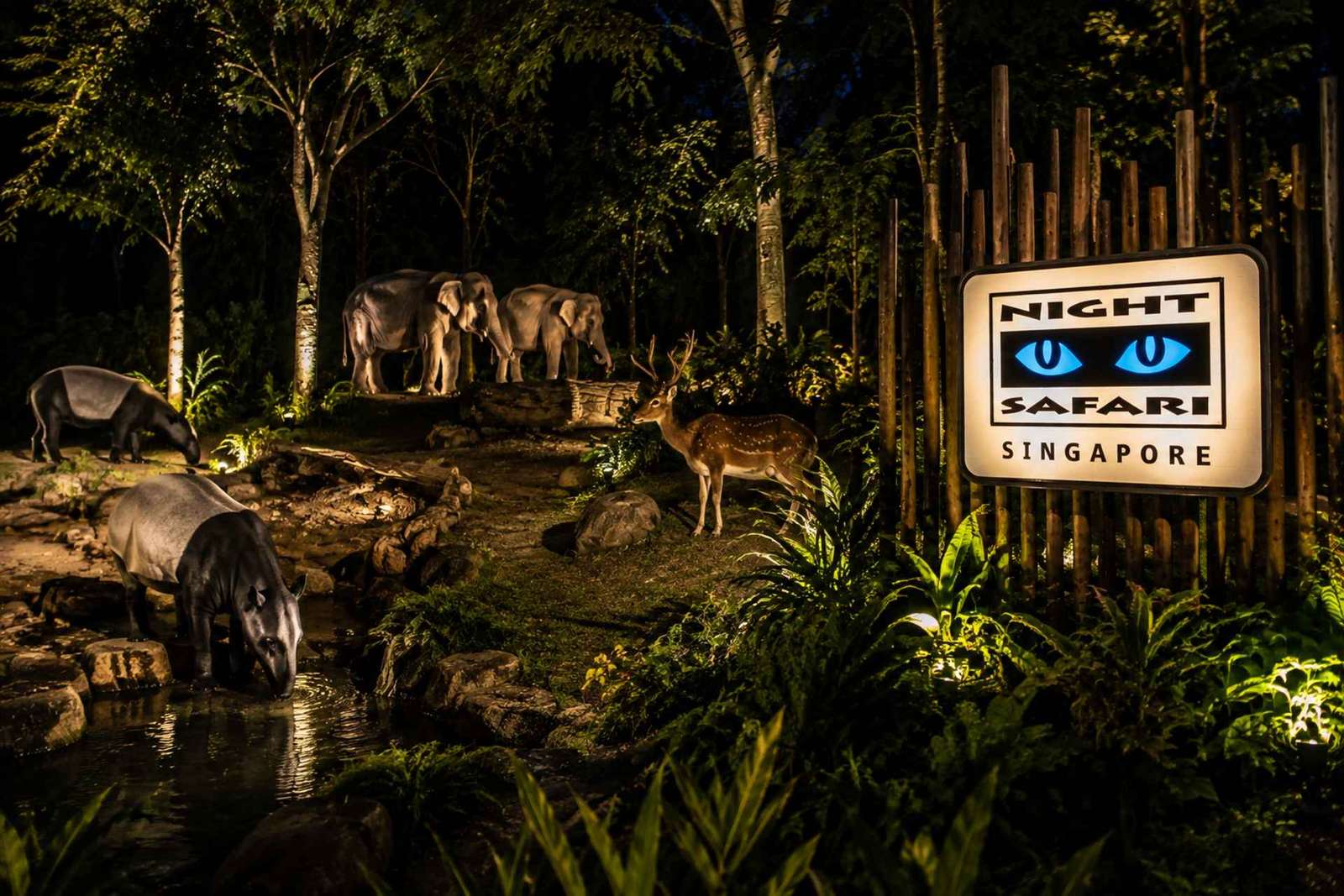 Singapura: Night Safari com Passeio de Bonde e Busca no Hotel
