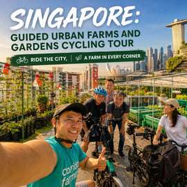 Singapura: Excursão Guiada de Bicicleta por Fazendas e Jardins Urbanos